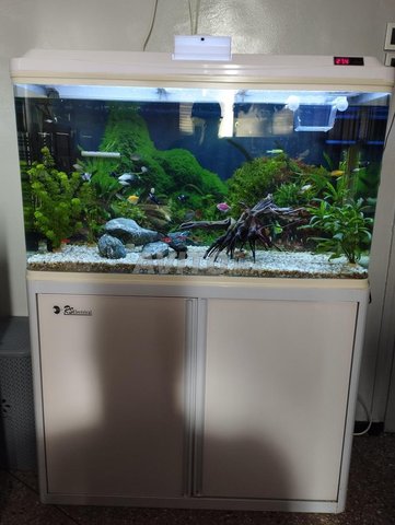 Aquarium RS ELECTRICAL 