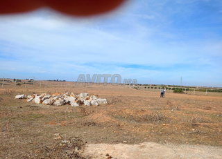 vente 4 ha ait Kassou commune Ain Johra