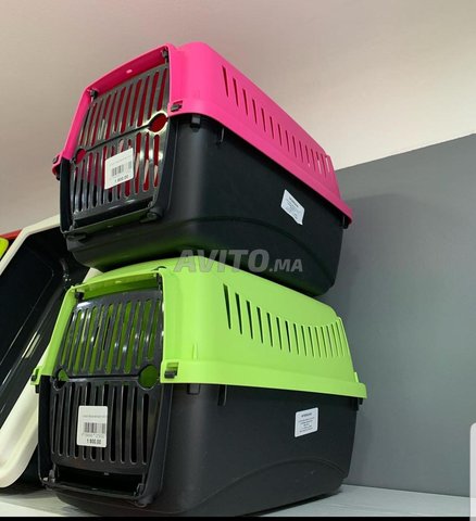 cage chat et chiot et toilettes pour chat 