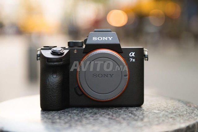 Sony Alpha 7 III 