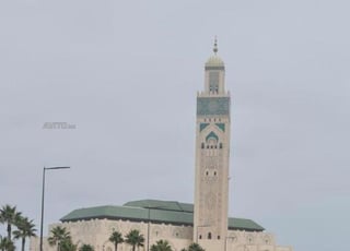 أبحث عن فتاة لمشاركة شقة