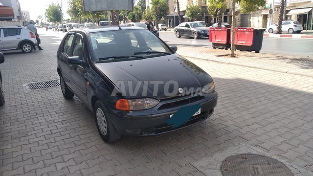 Fiat Palio occasion Diesel Modèle 