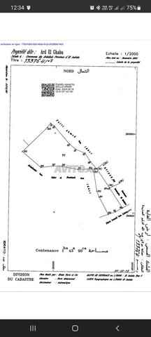 ارض فلاحية جماعة مولاي عبد الله 