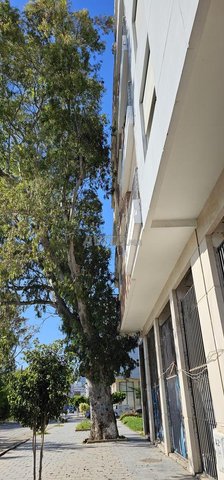 Opportunité Unique Magasin, à aida village 