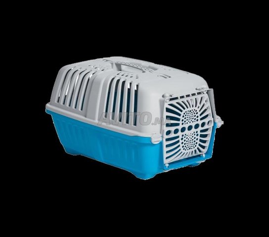 cage de transport pour chat 