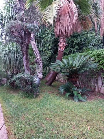 Villa avec piscine a vendre en plein coeur de Fes