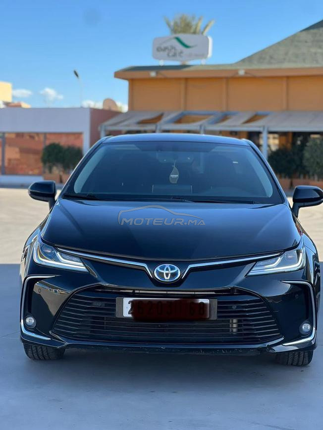toyota corolla hayprd