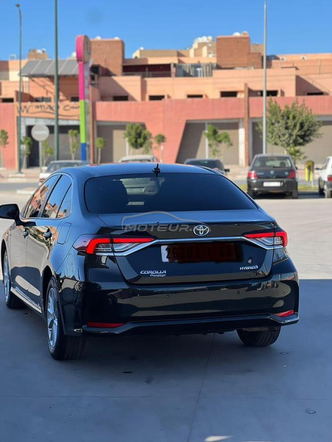 toyota corolla hayprd