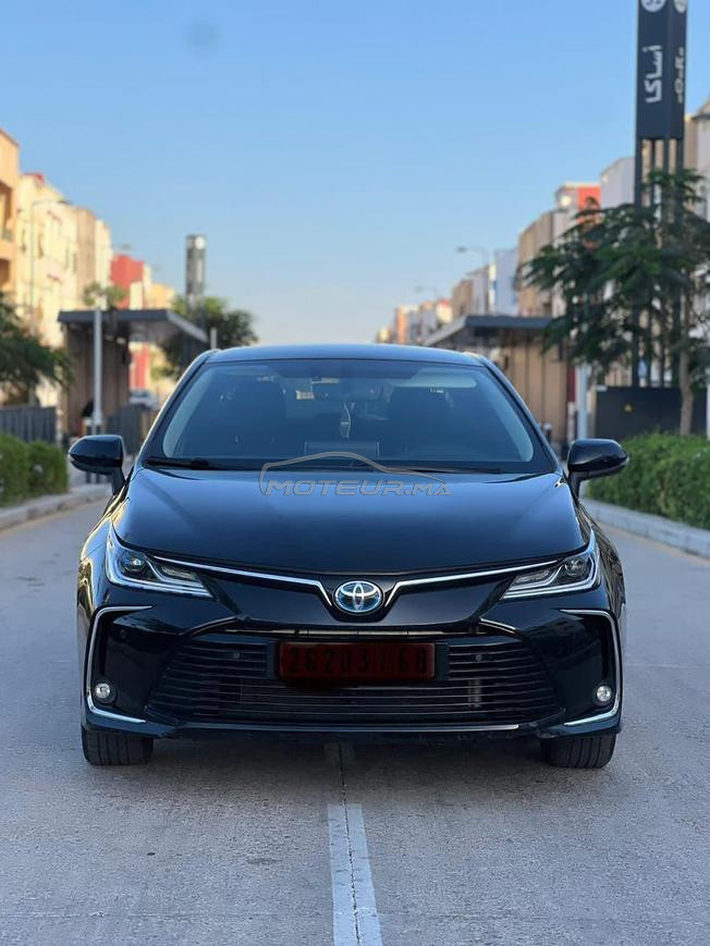 toyota corolla hayprd