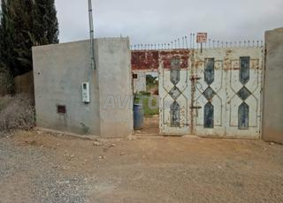 بيع مزرعة مجهزة