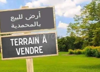 أرض للبيع بثمن مناسب 