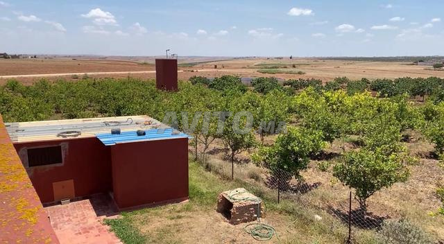 Ferme d'Investissement 26520m2 à vendre El Jadida