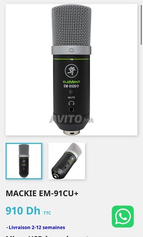 Microphone professionnel