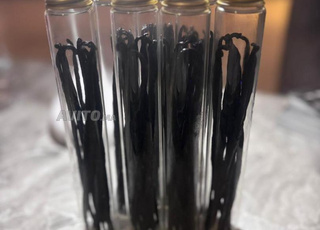 Vanille de Madagascar