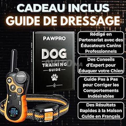 PAWPRO Collier de Dressage, Portée de 3km
