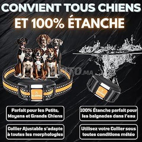 PAWPRO Collier de Dressage, Portée de 3km