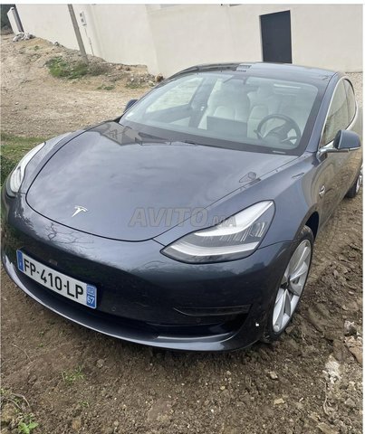 Tesla Model 3 occasion Electrique Modèle 