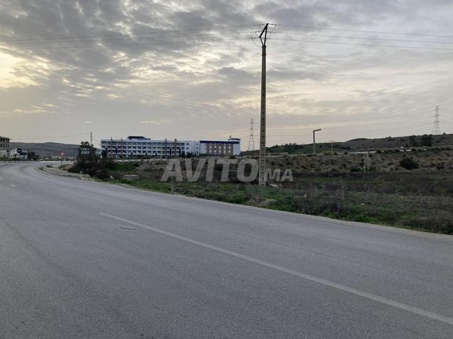 Terrain 9037m logistique à gdir defla renault