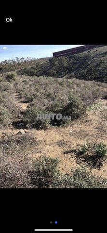 Beau terrain avec très belle vue sur forêt 