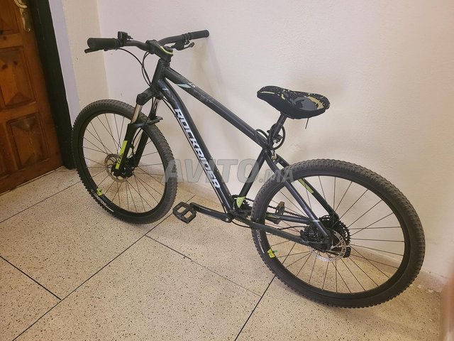 Scott Focus Specialized Bianchi Canyon Lapierre