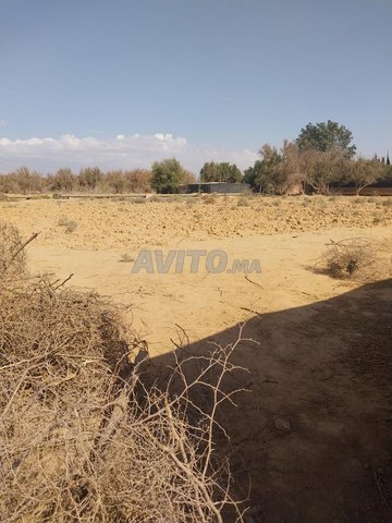 جنان للبيع بالجديد المحايطة تارودانت 