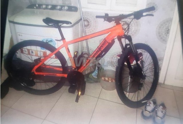 velo NAKAMORA