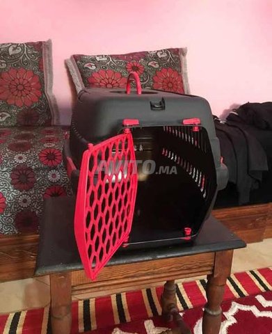 cage de transport pour chat et petit chien 