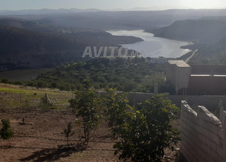 عشاق الطبيعة 