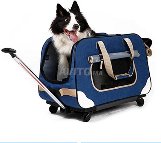 Sac de transport usa pour chien et chat