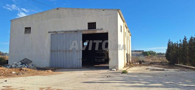 Hangar 2300 m² à louer à 10 min de Had Soualem