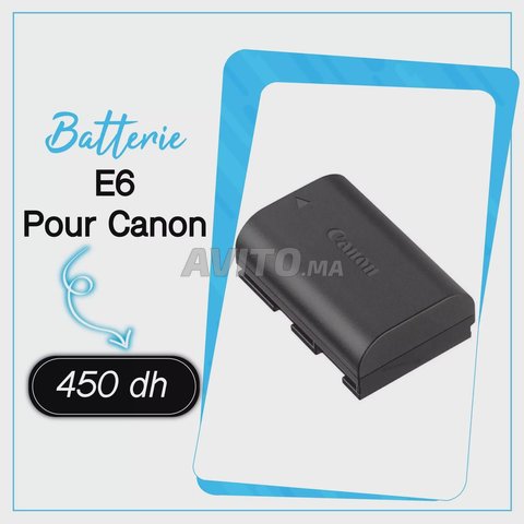 Batterie E6 pour Canon