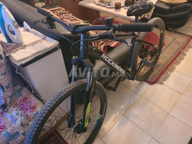 Cannondale Orbea Trek Cube Giant