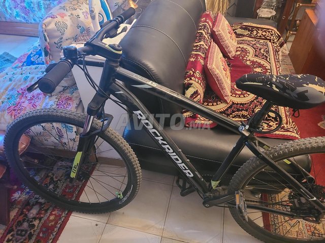 Scott Focus Specialized Bianchi Canyon Lapierre