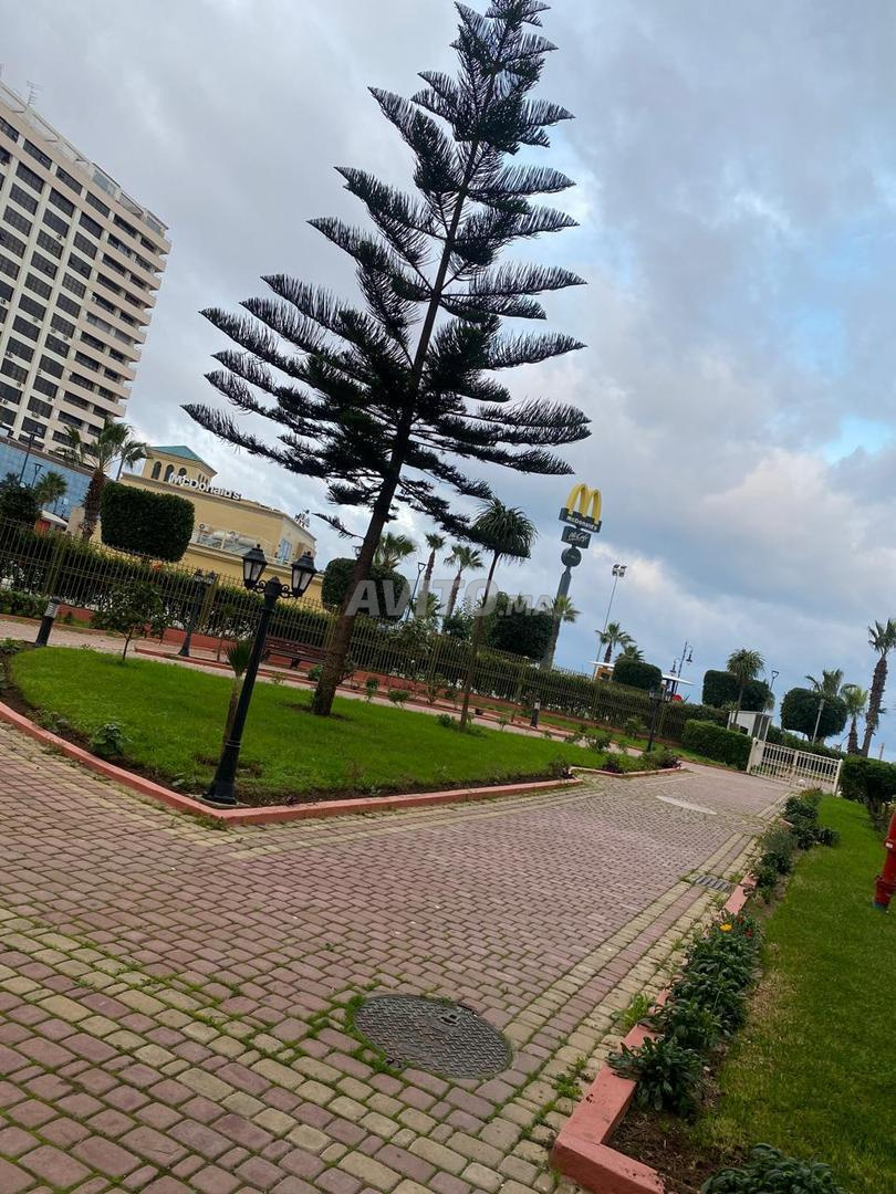 Appartement à louer quotidiennement pour famille sans courtier - image 5