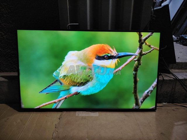 tv android intelligent Hisense 50 pouces 4K UHD 