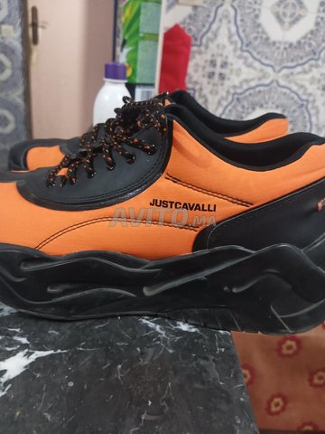 just Cavalli shoes