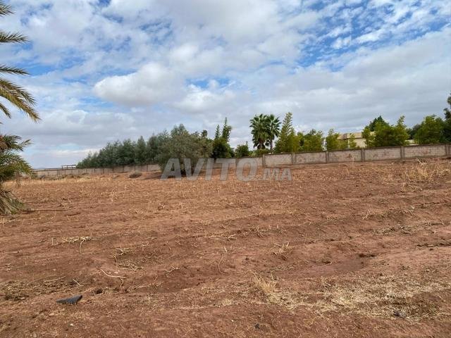Terrain à vendre Marrakech titré superficie 22000
