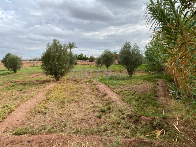 Terrain à vendre Marrakech titré superficie 22000