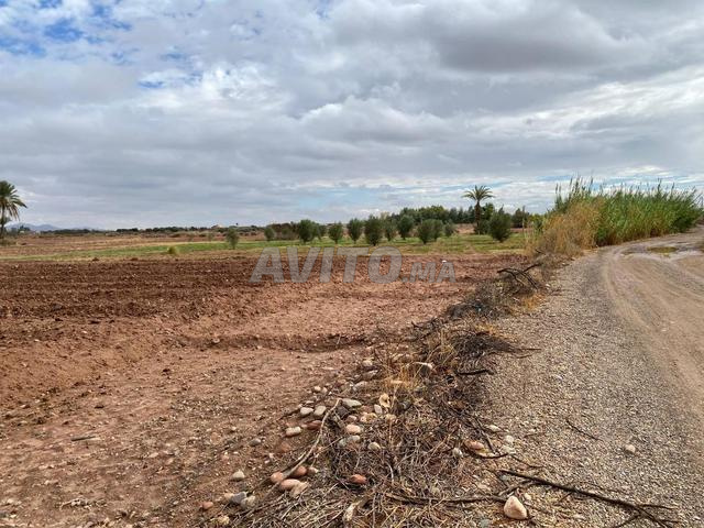 Terrain à vendre Marrakech titré superficie 22000