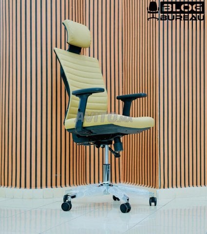 Chaise Ergonomique  Le Confort au Bureau