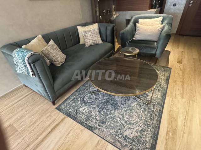 Deux salons élégants à vendre