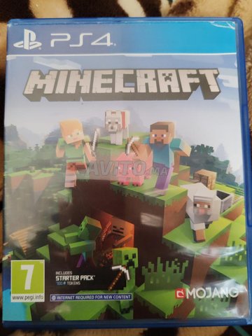 Minecraft PS4 edition 