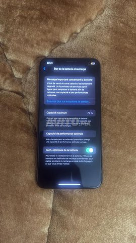  iPhone XS Max 256 Go Gold – Comme neuf 