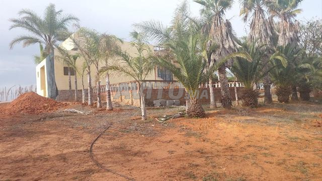 Ferme titre 5ha Arjat salé