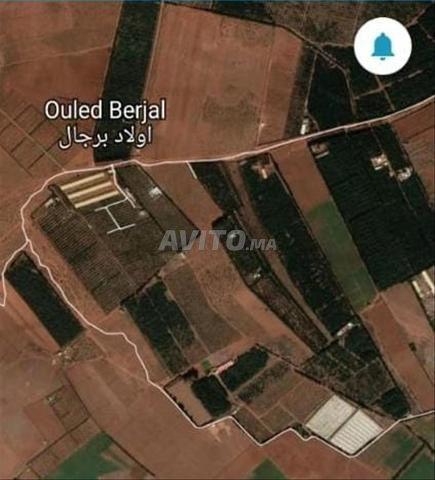 قطعة أرضية فلاحية بولاد برجال طريق العرائش