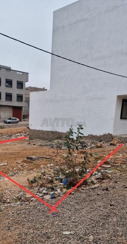 بقعة tadart anza