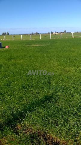 شقة للبيع 140 متر مربع في سيدي رحال