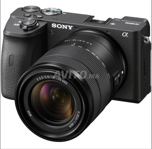 Sony a6600 Package (including necessary gadgets)
