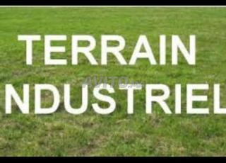 Terrain 9000m2 à Ain chock Mkanssa #i2s1