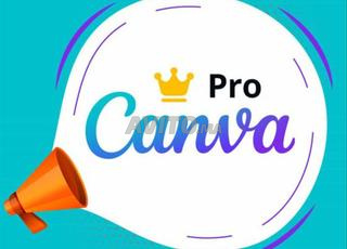 Canva Teams 12 mois/ livraison instantanée 